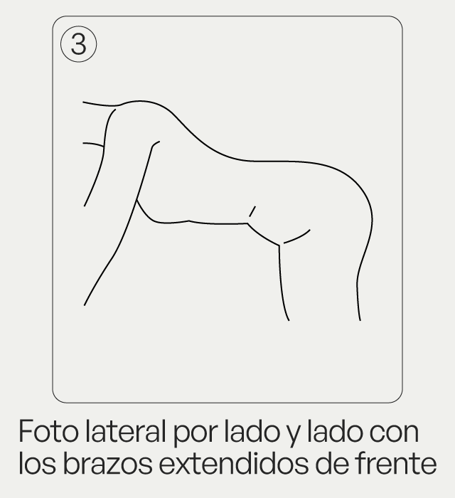 Imagen de referencia 3